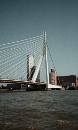 Reiki Rotterdam behandeling boeken zuid holland reiki